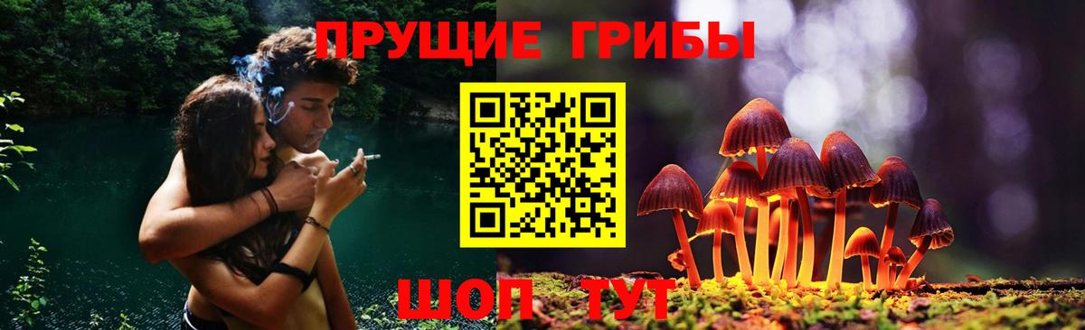 Знаменск  Галлюциногенные грибы мухоморы  Псилоцибиновые грибы GOLDEN TEACHER  Вход с VPN 